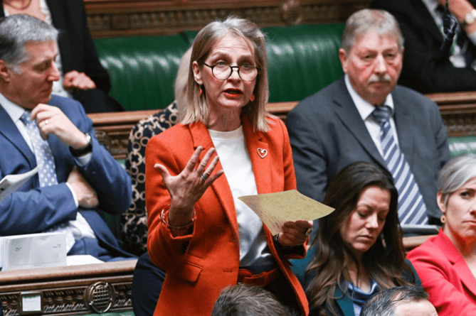 Wera Hobhouse has been at the forefront of mental health discussions in the in House of Commons