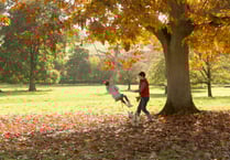 Family fun across South Somerset this October half term