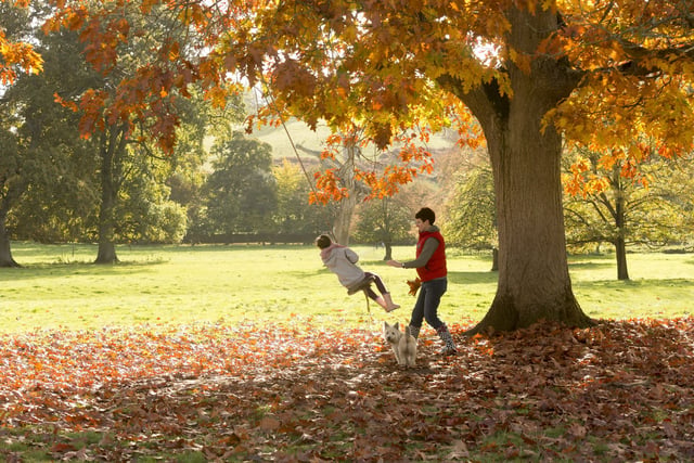 Family fun across South Somerset this October half term