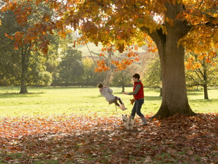 Family fun across South Somerset this October half term