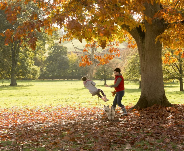 Family fun across South Somerset this October half term