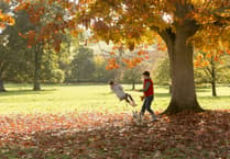 Experience autumn adventures at National Trust places in South Somerset