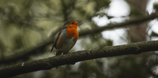 Successful growing season in Chew Valley