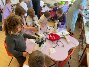 Budding scientists spark school success: St John’s pupils celebrate commitment to science