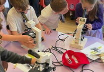 Budding scientists spark school success: St John’s pupils celebrate commitment to science