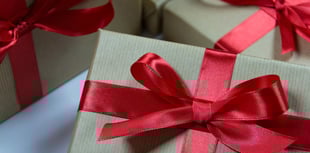 Westfield resident raises funds for Missing Link