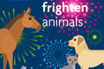 Ban the bangs: pleas for UK Government to limit fireworks