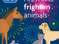 Ban the bangs: pleas for UK Government to limit fireworks
