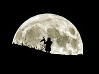 Halloween 2023: More witches living in North Somerset