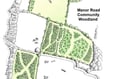 Improvements set for ‘green lung’ Manor Road Community Woodland