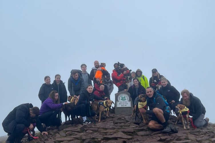 pen y fan war paws