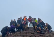 Local business owner organises Pen-Y-Fan climb in aid of War Paws