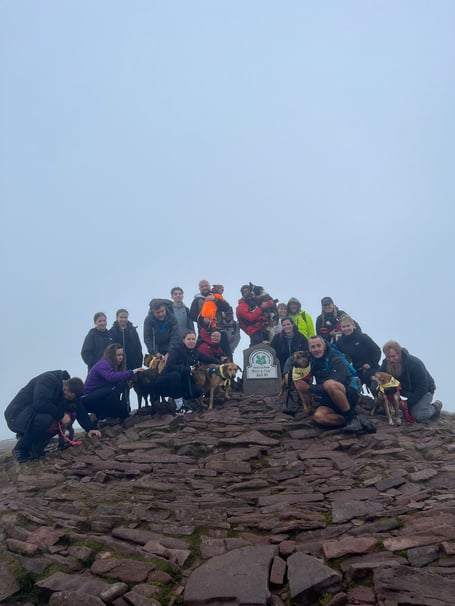 pen y fan war paws