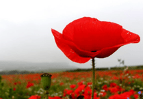 Remembering Red Cross during World War II