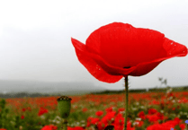 Remembrance Day Services will take place across B&NES