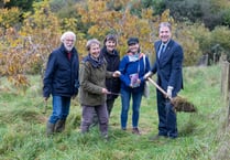 Bath Nuttery transforms to 'pollinator paradise' 