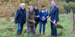 Bath Nuttery transforms to 'pollinator paradise' 