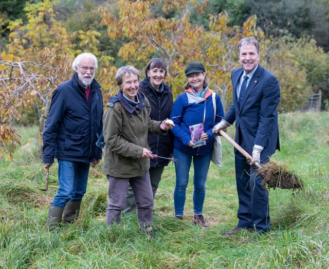 Bath Nuttery transforms to 'pollinator paradise' 