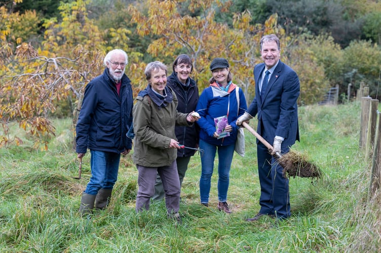The Bath Nuttery is being transformed for bees as part of a Mayoral Combined Authority-funded pollinator project