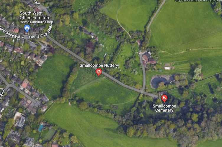 Smallcombe Nuttery is being transformed into a pollinator haven for bees.