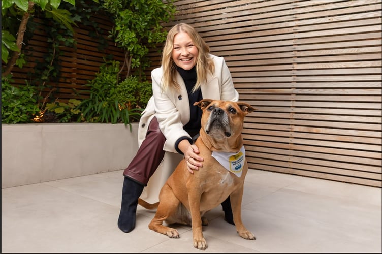 omaze somerset