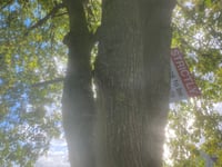 Westfield Parish Council fight  against vandalism at the Recreation Ground