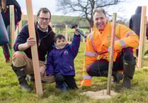 Bath and North East Somerset residents urged to plant trees