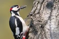 How well do you know your wildlife?