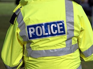 Suspended sentence for animal cruelty case