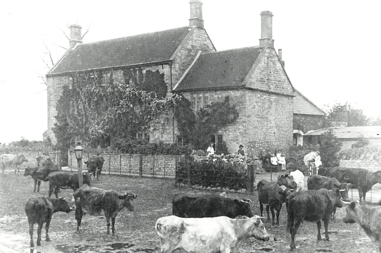 Can you guess where this week's Mystery Photograph was taken?