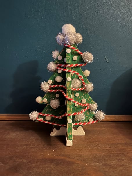 Xmas tree kit Men's Shed and MSN town council