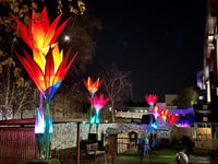 Frome Jigantics spread Christmas cheer with RUH art installation