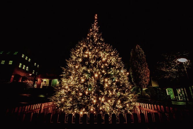 Midsomer Norton Christmas Tree
