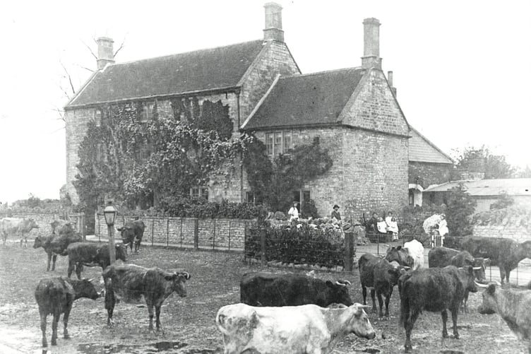 Mystery photo tyning farm