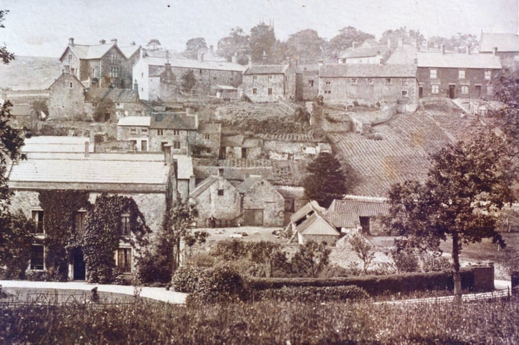 Can you guess this week's Mystery Photograph?