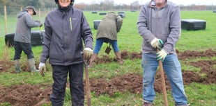 Chew Valley Plants Trees 