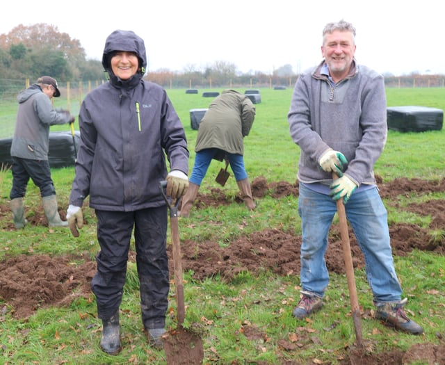 Chew Valley Plants Trees 