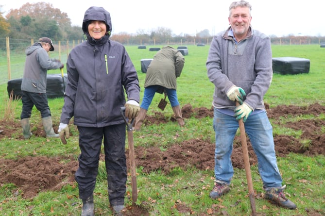 Alex and David, members  of Chew Valley Plants Trees Steering Group healing in whips