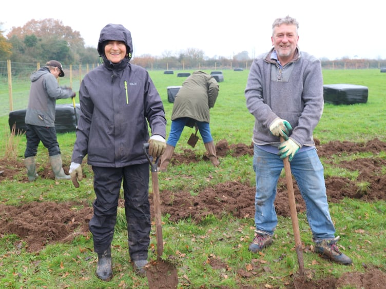 Alex and David, members  of Chew Valley Plants Trees Steering Group healing in whips