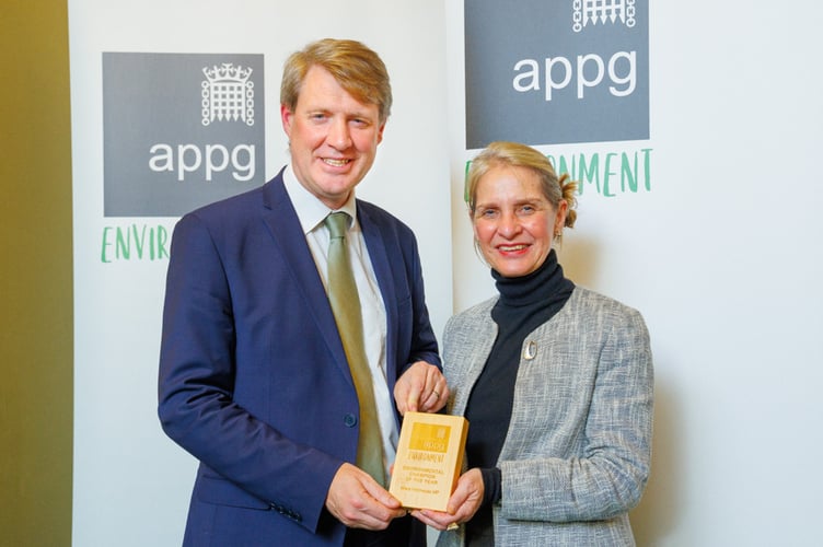 Wera environmental champion