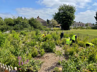 Become a volunteer ranger in Frome 