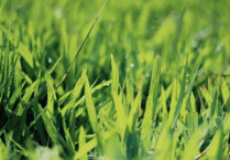 Volunteer sought to chair Somer Valley Rediscovered Partnership