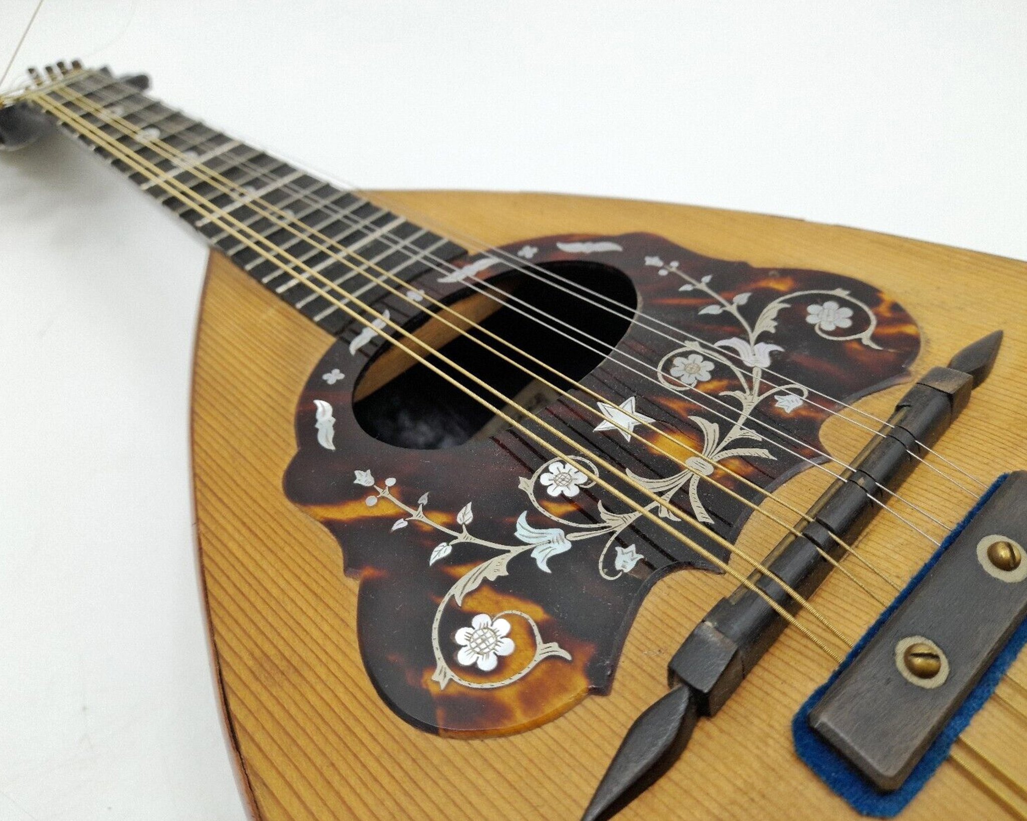 Charity’s eBay hub thrives  thanks to generous and unusual donations