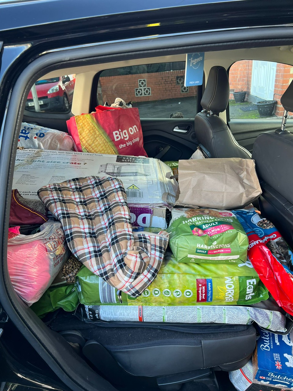 The Dog Lover Somerset organises  winter collection drive for rescue