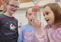 Primary School’s STEM week goes down a storm!