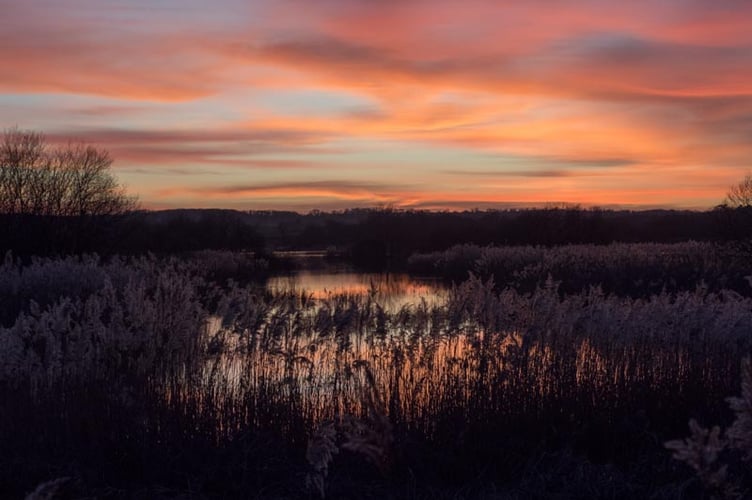 Diana Walker's Somerset Levels photograph won first place for the Landscape category.