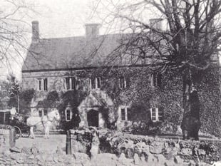 Mystery Photograph 