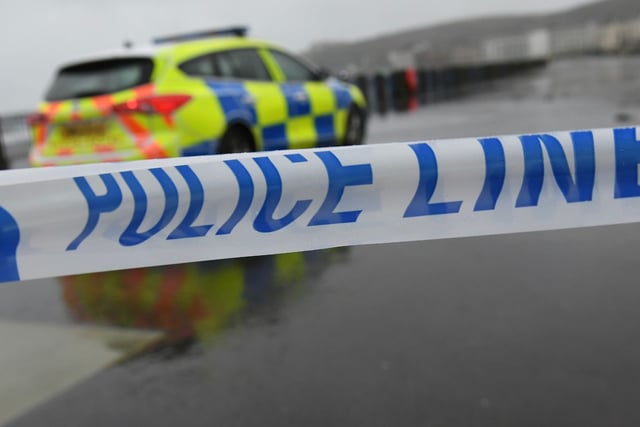Urgent appeal after collision killed dog out running with owner