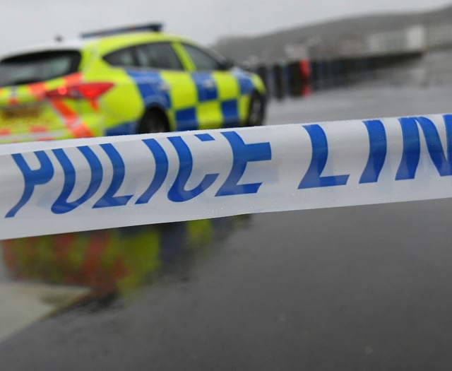 Urgent appeal after collision killed dog out running with owner