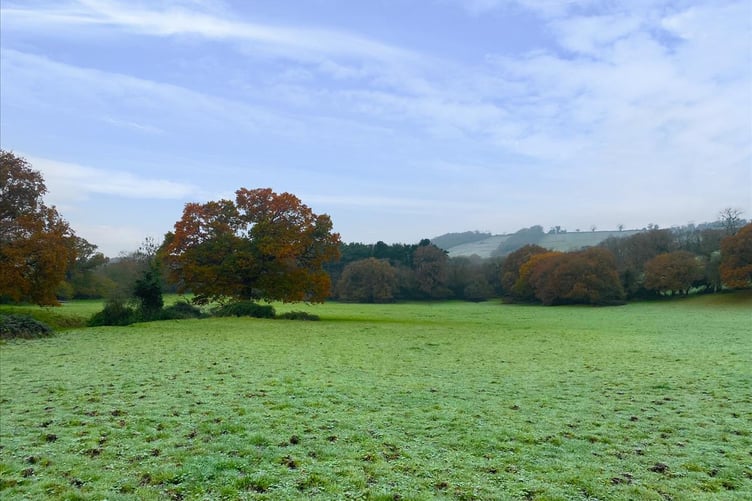 shepton property auction